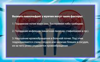 Симптомы пиелонефрита у мужчин