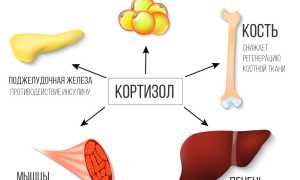 За что отвечает гормон кортизол и как определяют его уровень в крови