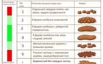 Бристольская шкала кала — Бристольская шкала стула