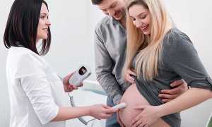 Можно ли определить пол ребенка по сердцебиению и как это сделать