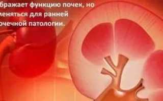 Почечная недостаточность и методы лечения