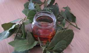 Лавровый лист от сахара в крови