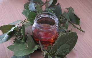 Лавровый лист от сахара в крови